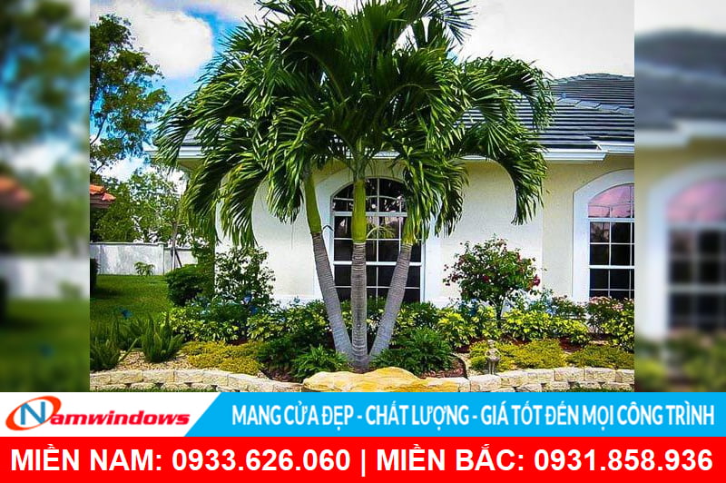 Cấm kị trong thiết kế cửa sổ