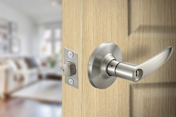 Khóa tròn tay gạt hợp kim kẽm 31687.001 BSN/SSS - Ảnh 2