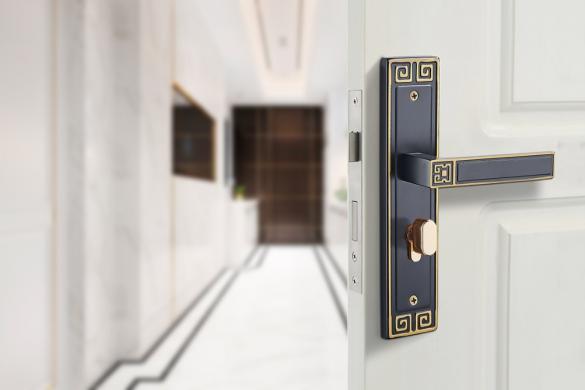 Khóa cửa VICKINI 32017.001 GYM/CF dài 235 - Ảnh 2