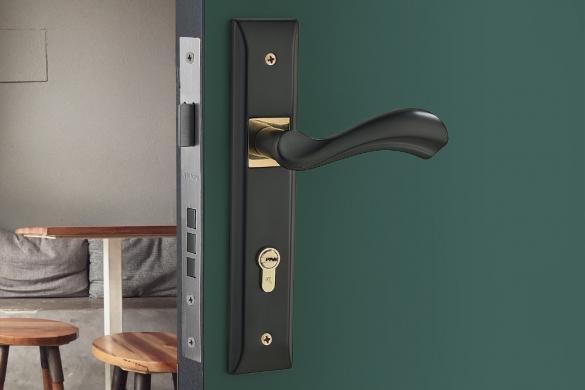 Khóa cửa VICKINI 33016.002 ORB/GP dài 260 - Ảnh 2