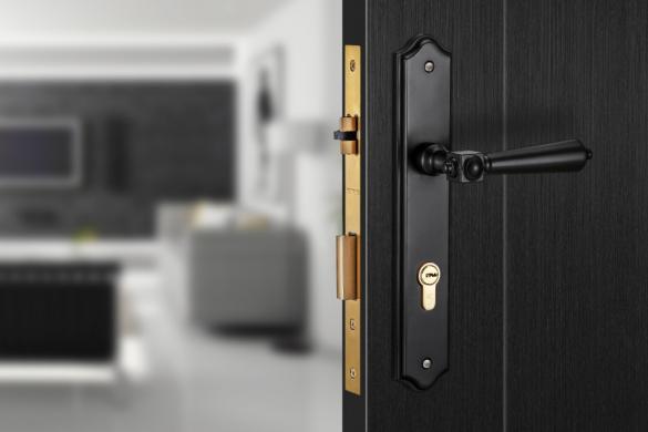 Khóa cửa HK kẽm VICKINI 35117.102 MSN dài 260 - Ảnh 2