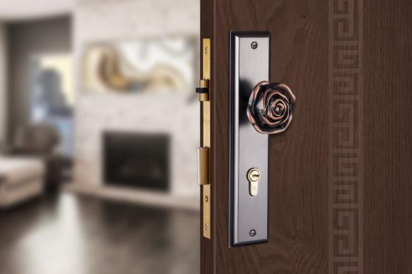 Khóa cửa HK kẽm VICKINI 35556.101 GYM-AC dài 260 - Ảnh 2