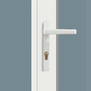 Bộ khóa đa điểm lẫy gà 2100 hãng Roto Đức