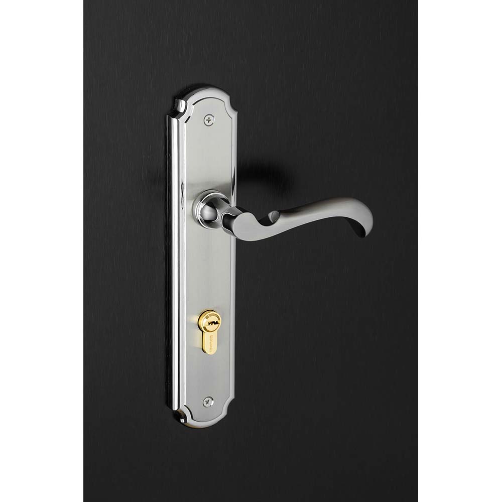 Bộ khóa tay nắm hợp kim EX 8535 VĐ dài 260 - Ảnh 3