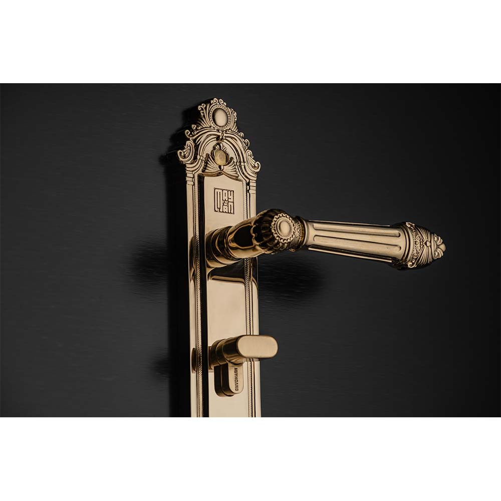 Bộ khóa tay nắm đồng thau HCP 5826 Gold dài 224 - Ảnh 2