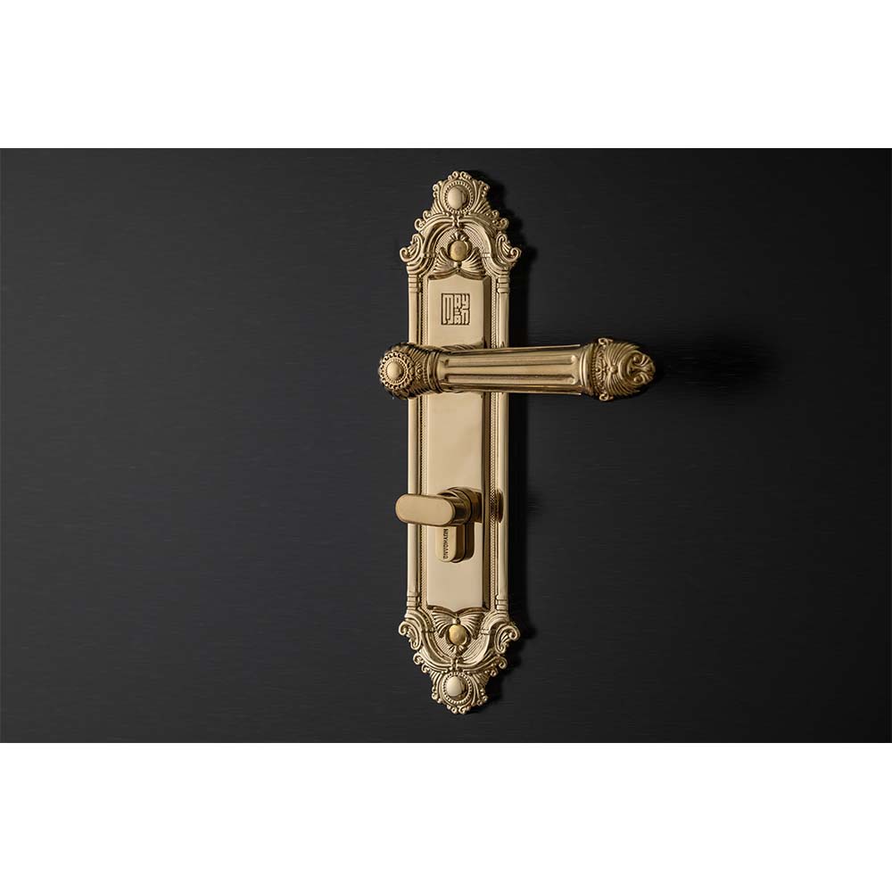 Bộ khóa tay nắm đồng thau HCP 5826 Gold dài 224 - Ảnh 3