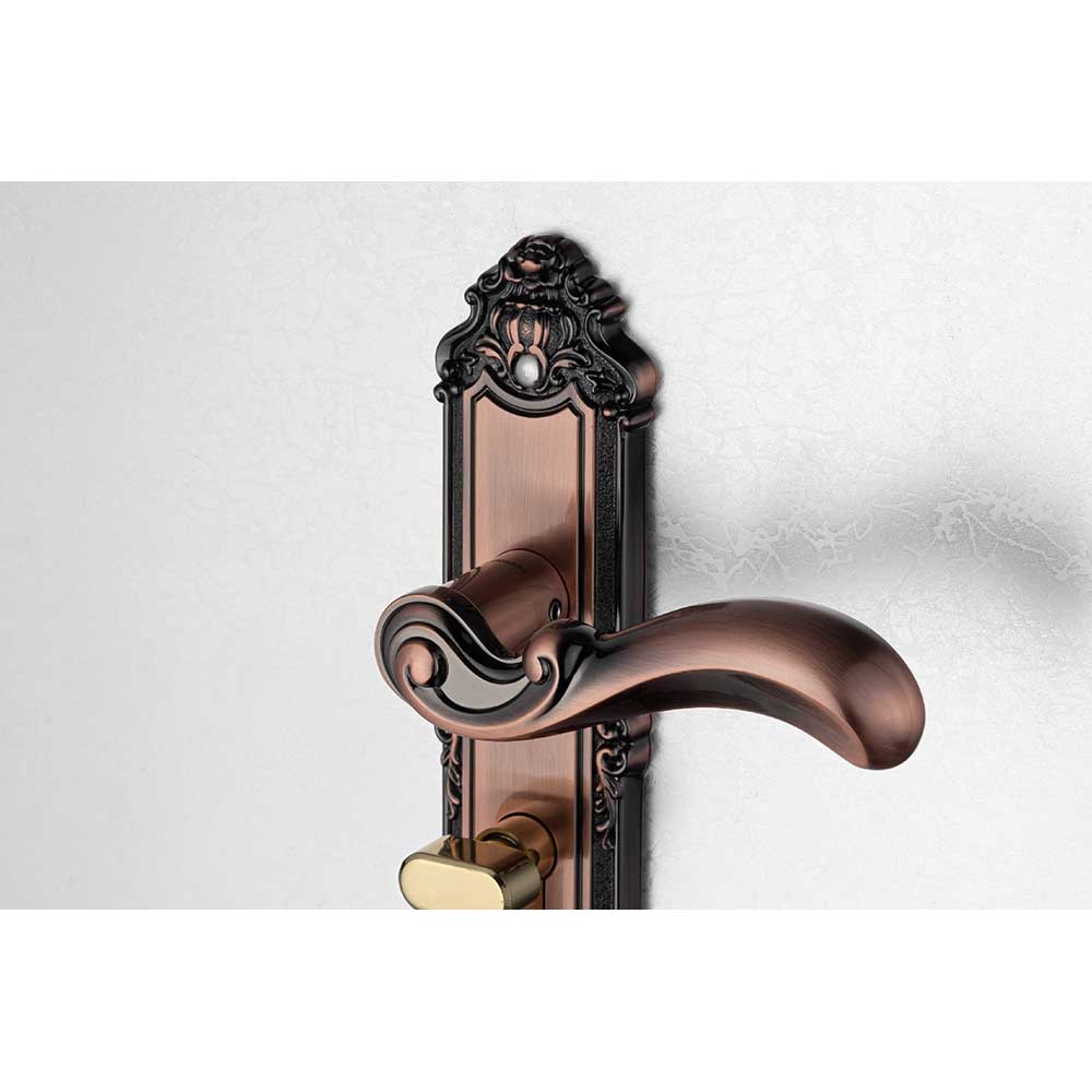 Bộ khóa tay nắm hợp kim EX 5829 dài 224 - Ảnh 4