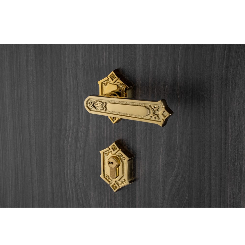 Bộ khóa phân thể tay nắm đồng HC 85 KING PVD Gold - Ảnh 3