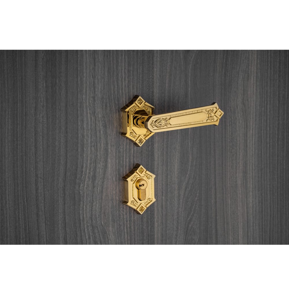 Bộ khóa phân thể tay nắm đồng HC 85 KING PVD Gold - Ảnh 4