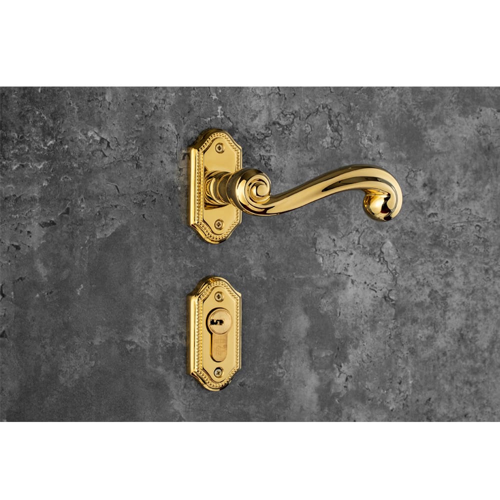 Bộ khóa phân thể tay nắm đồng HC 85 PRINCE PVD Gold - Ảnh 3
