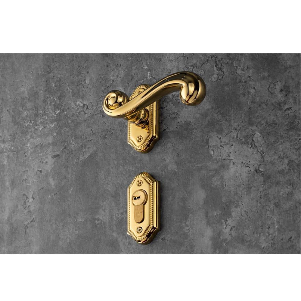 Bộ khóa phân thể tay nắm đồng HC 85 PRINCE PVD Gold - Ảnh 4